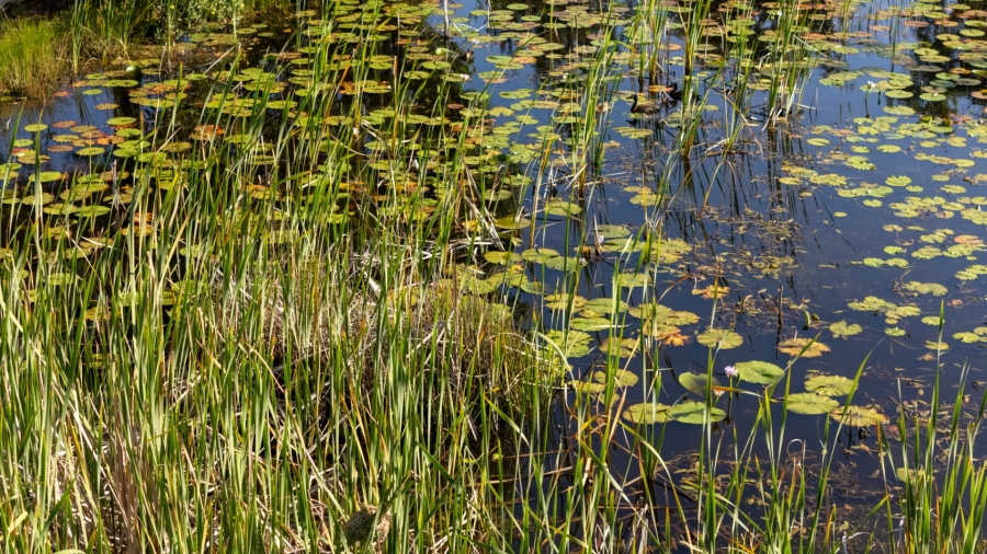  Bedroom Property for Sale in Plettenberg Bay Rural Western Cape